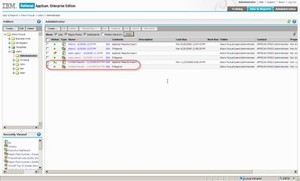 IBM Rational AppScan Enterprise Edition