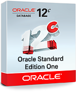 Oracle Database Standard Edition One