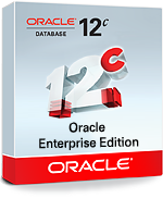 Oracle Database Enterprise Edition