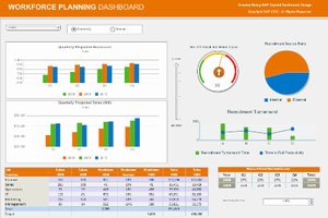 SAP Crystal Dashboard Design Starter Package 2013
