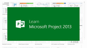 Microsoft Project Server 2013