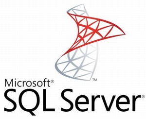 Microsoft SQL Server 2016 Standard Edition (Server/CAL)