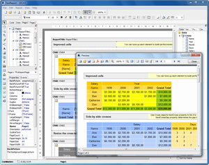 FastReports VCL -      Delphi /C++Builder