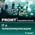 PROMT Translation Server 12 IT и телекоммуникации