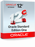 Oracle Database Standard Edition One