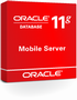 Oracle Database Mobile Server