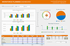 SAP Crystal Dashboard Design Starter Package 2013