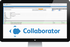 SmartBear Collaborator