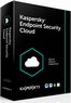 Kaspersky Endpoint Security CLOUD