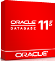 Oracle Database Standard Edition One